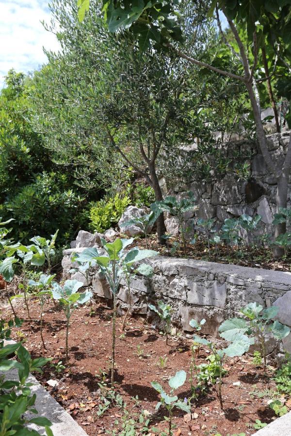 Apartments By The Sea Kabli, Peljesac - 10221 Brijesta 外观 照片