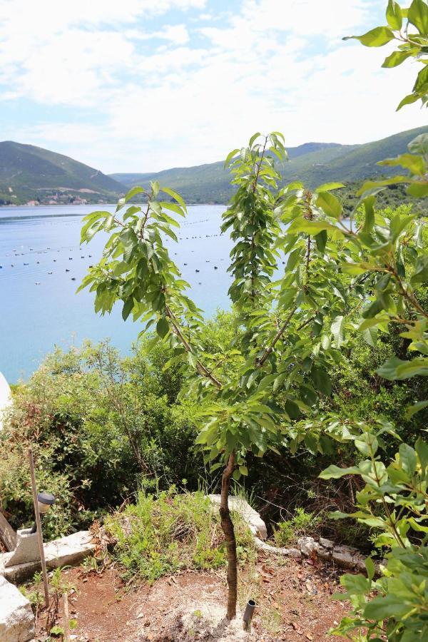 Apartments By The Sea Kabli, Peljesac - 10221 Brijesta 外观 照片